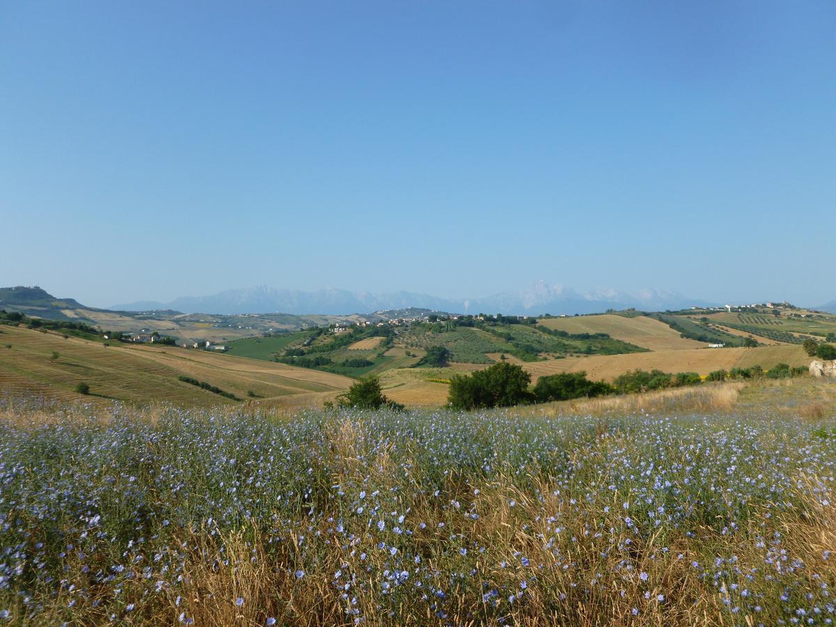 Il Frutteto Bed And Breakfast Ripattone Екстериор снимка