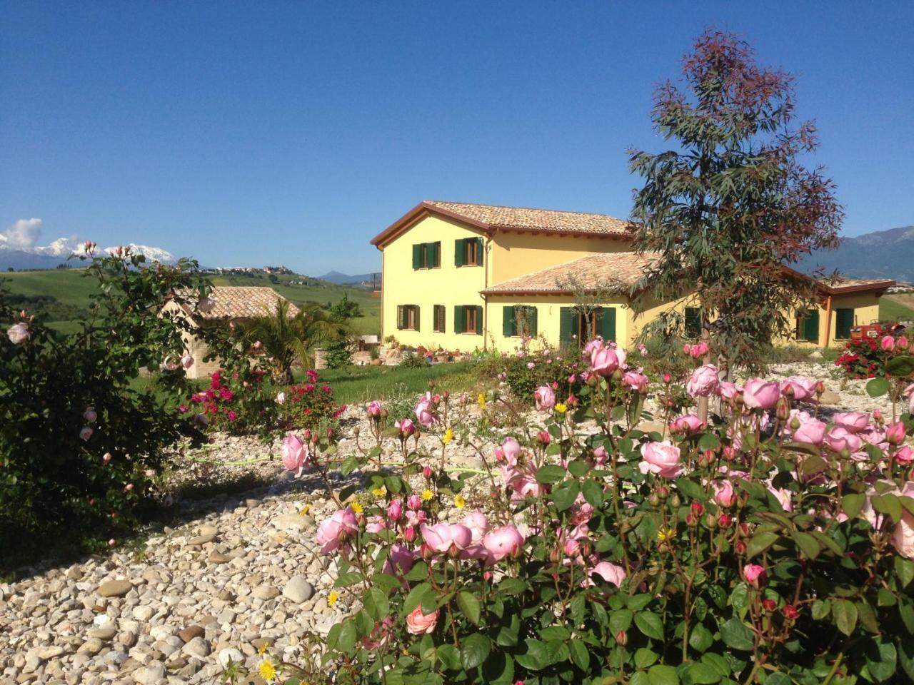 Il Frutteto Bed And Breakfast Ripattone Екстериор снимка