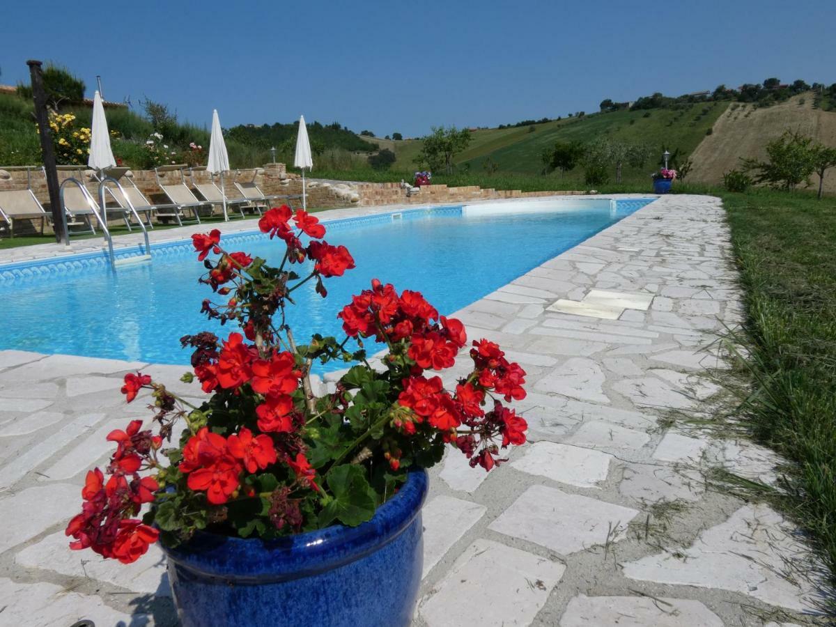 Il Frutteto Bed And Breakfast Ripattone Екстериор снимка